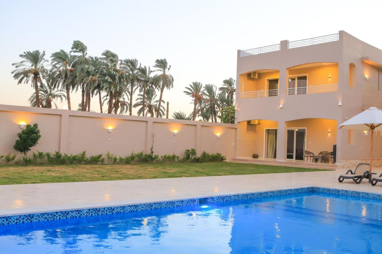 Royal Nile Villas - Pool View Apartment 2 樂蜀 外观 照片